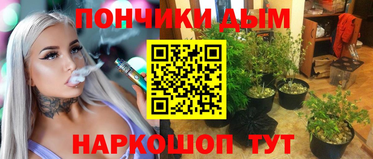 Шишки марихуана конопля  Канабис OG Kush  МАРИХУАНА SATIVA & INDICA  МАРИХУАНА ГИДРОПОН  Вход с VPN  Учалы 